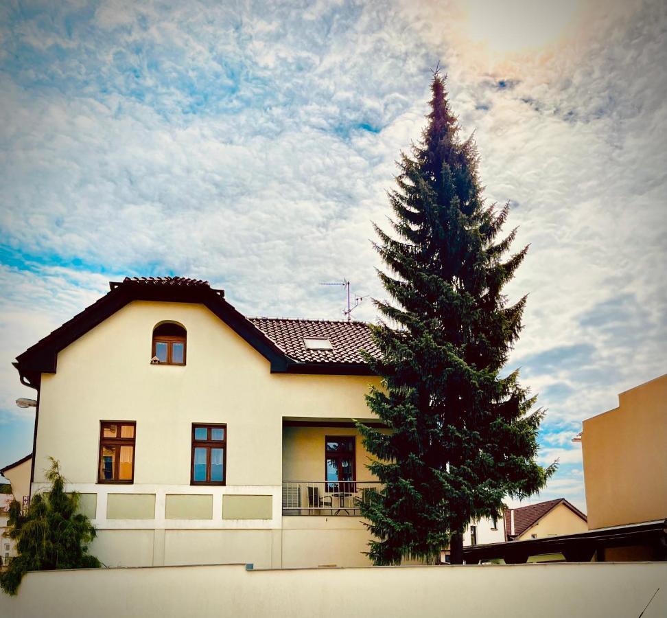 Apartman U Smrku Dvůr Králové nad Labem Esterno foto
